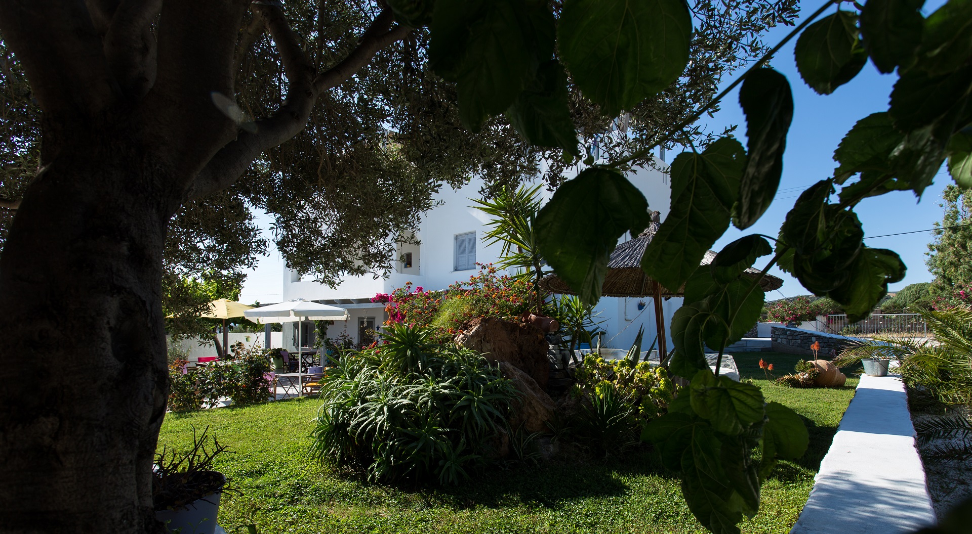Evi Rooms to Let in Alyki | Paros | Cyclades | Greece.